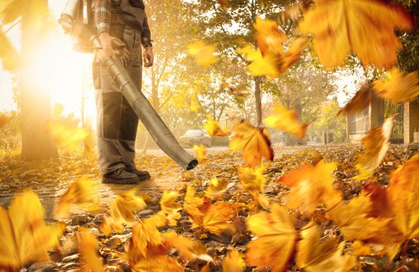 Leaf Blowing Service in Manassas
