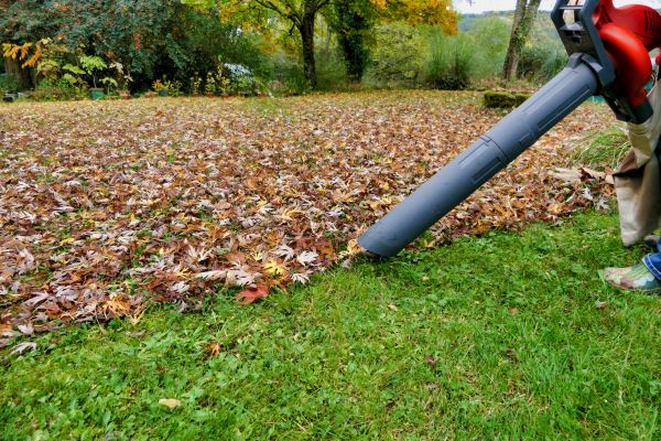 Leaf Vacuuming Service in Manassas