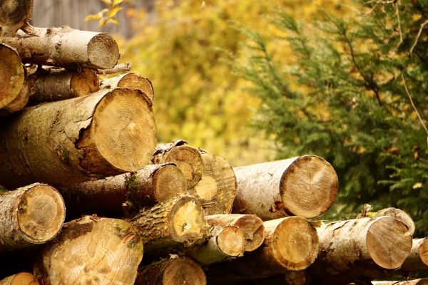 Wood Pile Removal in Manassas