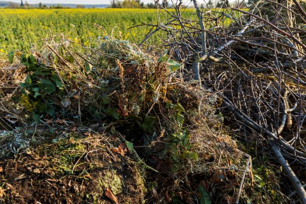 Brush Disposal in Manassas