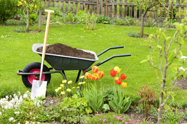 Spring Yard Cleanup in Manassas