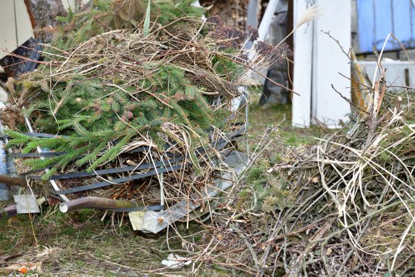 Yard Waste Removal Service in Manassas