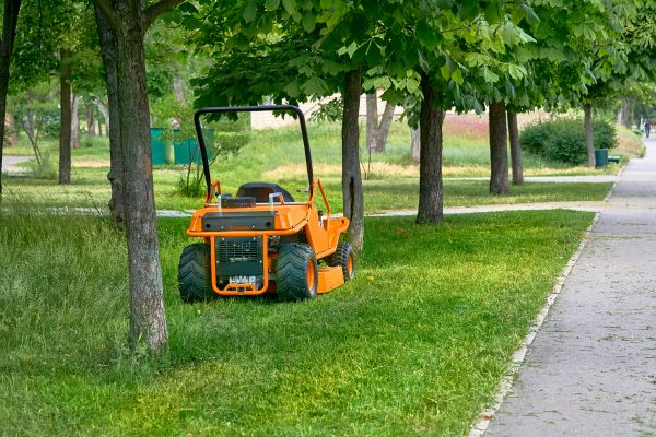 Landscaping Cleanup Service in Manassas