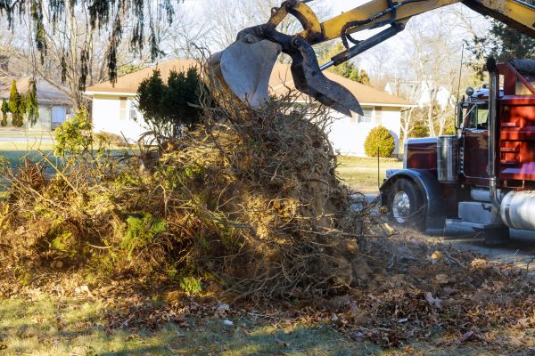 Storm Debris Removal in Manassas