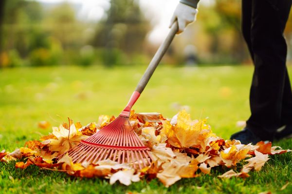 Ditch Leaf Removal in Manassas
