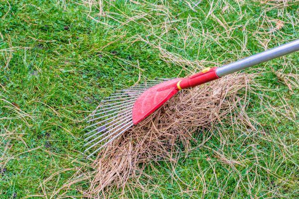 Yard Raking in Manassas