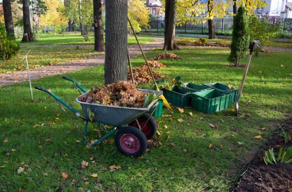 Leaf Clearing Service in Manassas