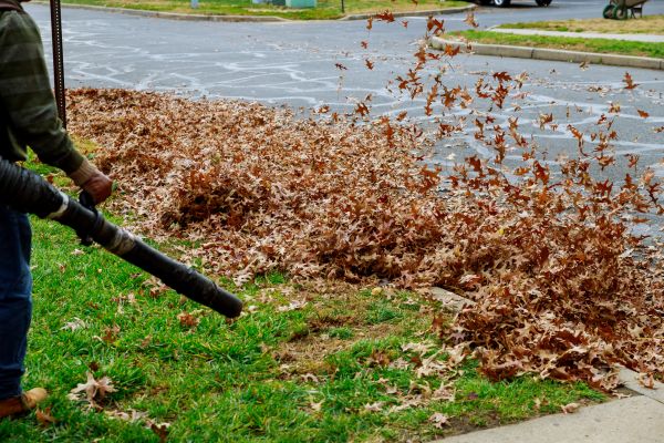 Garden Leaf Removal in Manassas