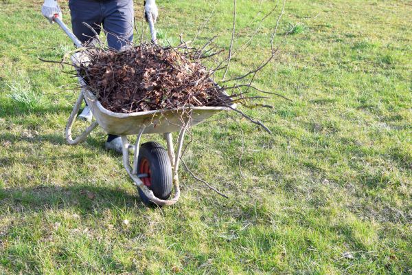 Yard Brush Removal in Manassas