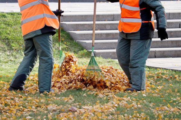 Leaf Hauling Service in Manassas