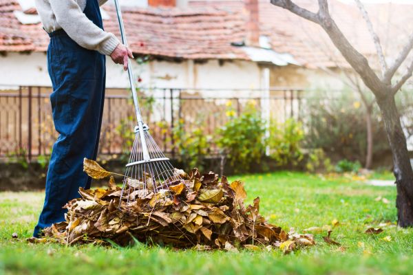 Spring Lawn Cleanup in Manassas
