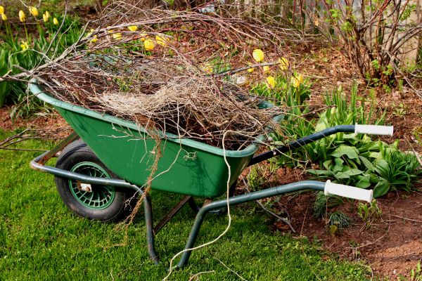 Lawn Waste Removal in Manassas