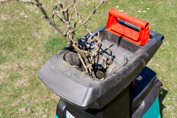 Brush Cleanup Service in Manassas