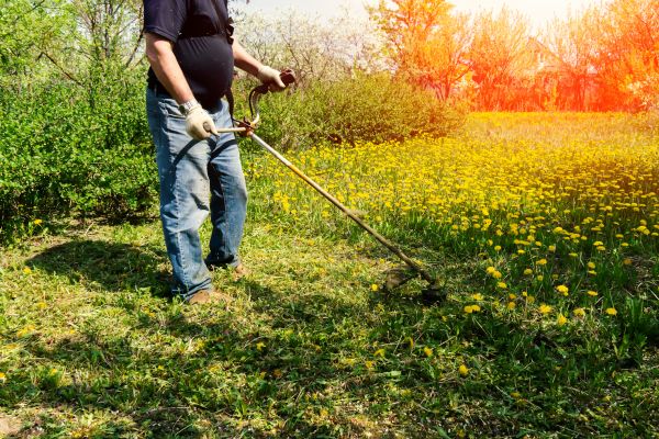 Yard Clearing Service in Manassas