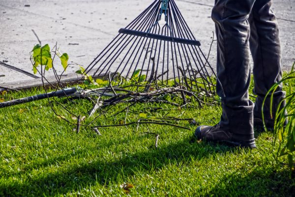 Yard Debris Cleanup in Manassas