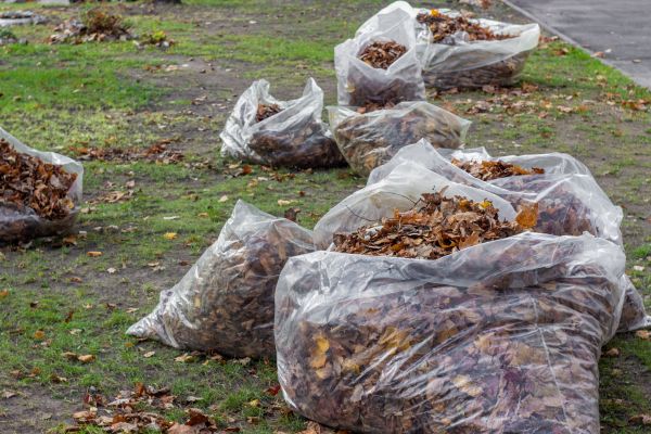 Leaf Pile Disposal in Manassas