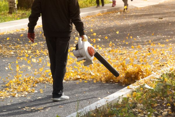 Commercial Leaf Removal in Manassas