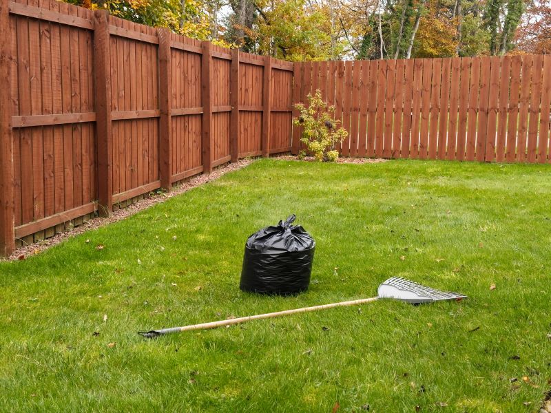 Winter Lawn Prep