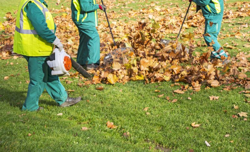Specialized Leaf Removal Services